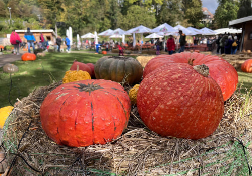 Discovering the Vibrant Cultural Scene in Central Virginia